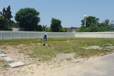 Cutting from weeds and trees